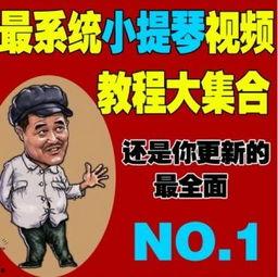 成人小提琴视频教学视频,跟随视频轻松掌握演奏技巧