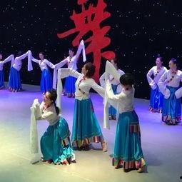 成人易学藏族舞视频大全,成人易学藏族舞视频大全精选解析