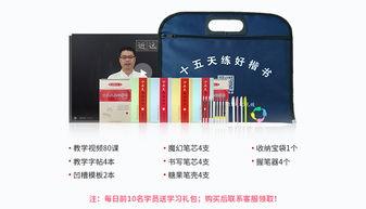成人书法课堂练字视频大全,成人练字视频大全解析
