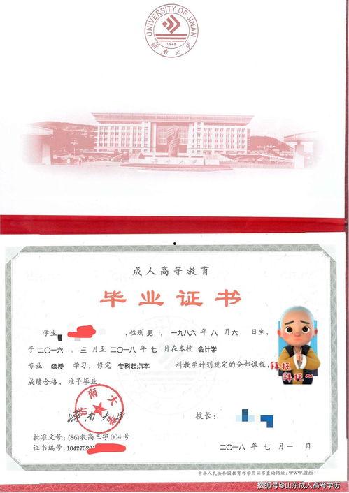 山东成人学位英语视频,山东成人学位英语视频课程精华概览