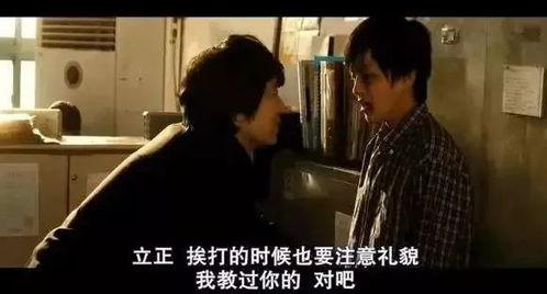 成人的世界视频播放,揭秘现实生活的真实面纱