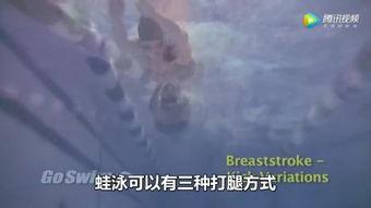 成人初学蛙泳教学视频,视频解析与技巧指导