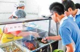 小餐桌成人吃饭视频播放,成人共餐视频回顾